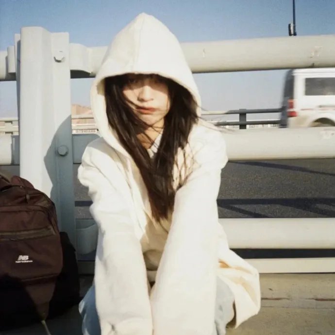 一鸣惊人之以梦为马